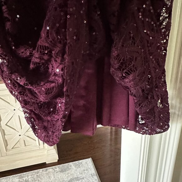SD Collection Eggplant Lace Long sleeve Dress with Sequins (Size 16) - Picture 5 of 8